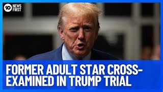 Former Adult Star Cross-Examined In Trump Trial | 10 News First