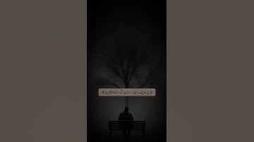 القرآن الكريم🤍✨