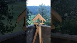 Morning Feeding Time | LIVE Bird Watch