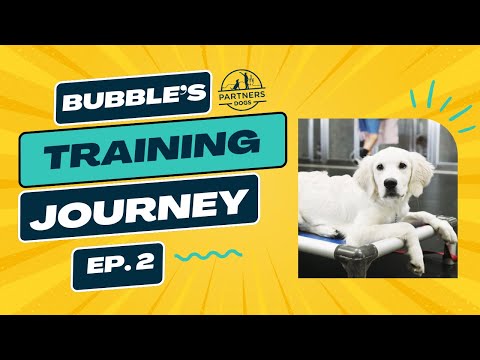 Bubbles: Episode 2
