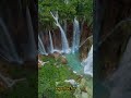Plitvice Lakes: Turquoise Waterfalls in Croatia’s Heart [UNESCO] #shorts