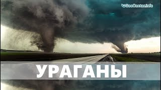 Ураган. Аномальная погода. Климатические изменения. Выпуск 98 Ураган. Аномальная погода. Климатические изменения. Выпуск 98