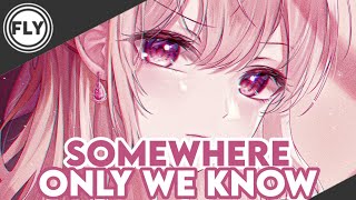 Nightcore | Somewhere Only We Know (Gustixa & Rhianne) Resimi