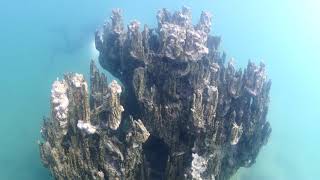 microbialites