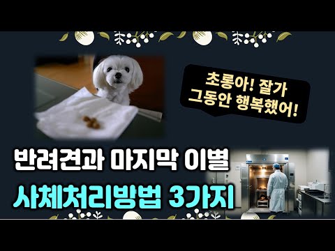 반려견과 마지막 이별, 사체처리 방법과 장례절차