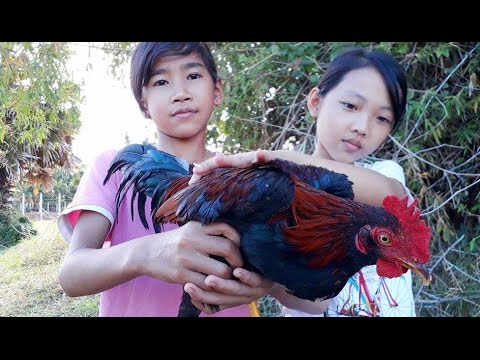 Amazing Grilled Chicken | Two Smart girls Cooking Style | Traditional Made Easy Food In Cambodia