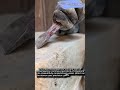 Traditional Stonemasonry Techniques for Carving and Shaping Natural Rock #artisan #stonecutting