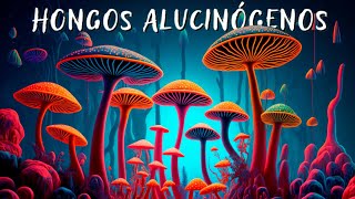 🍄 ¿Qué son los HONGOS ALUCINÓGENOS y la PSILOCIBINA? 🤔 ¿Cuál es su HISTORIA, EFECTOS y BENEFICIOS?