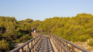 Posidonia Oceanica as a global issue