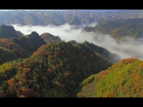 世界自然遺產－神農架