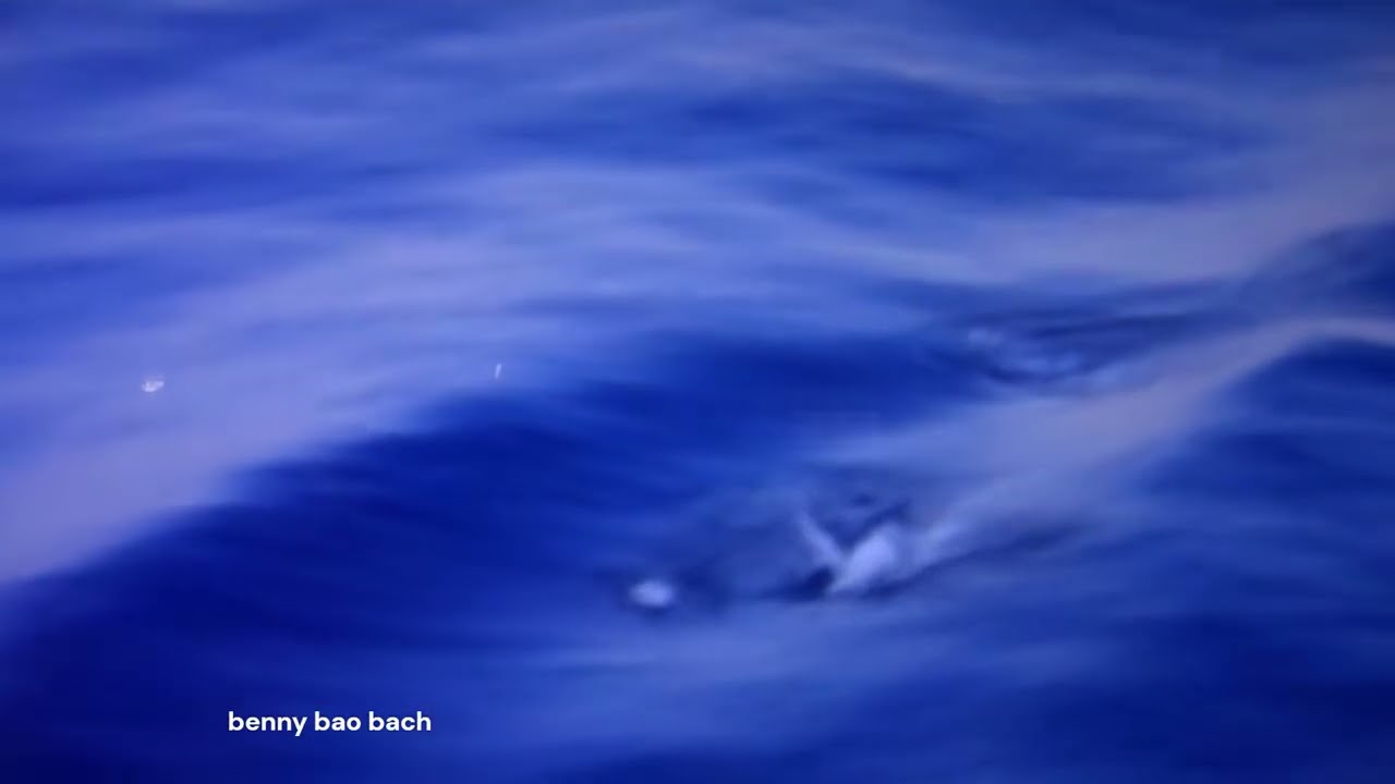 TƯỞNG VỌNG HOÀNG SA ĐẢO