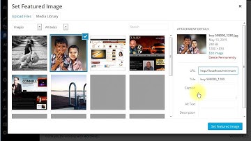 Add Static Full Width Banner after header