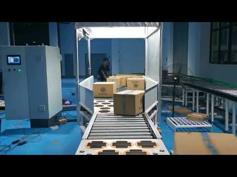 Express&Logistics Center Parcels Singulator/Singulation System