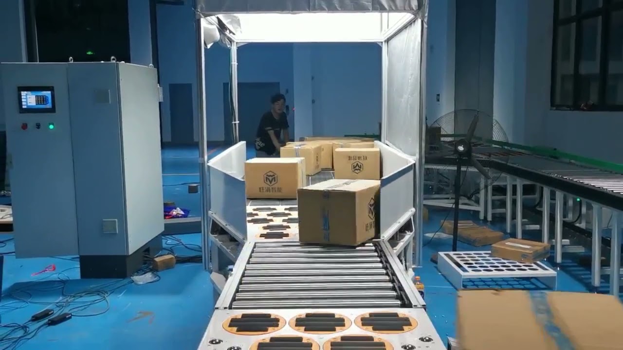 Express&Logistics Center Parcels Singulator/Singulation System