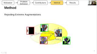 Celebrity Domain Generalization by Rejecting Extreme Augmentations Net Worth