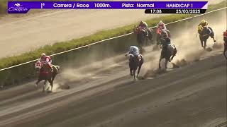 Vidéo de la course PMU PASO REAL