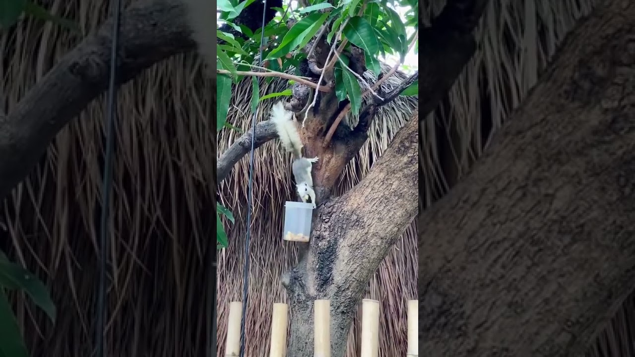 subhan allah walhamdulillah wala ilaha illallah wallahu akbar