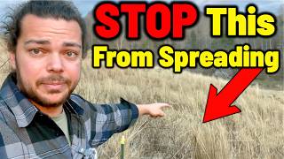 The Government-Introduced Plants Destroying American Land (Q&A)