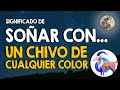 Qué Significa Soñar Con Un Chivo De Cualquier Color Y Tamaño Animales Y Sueños
