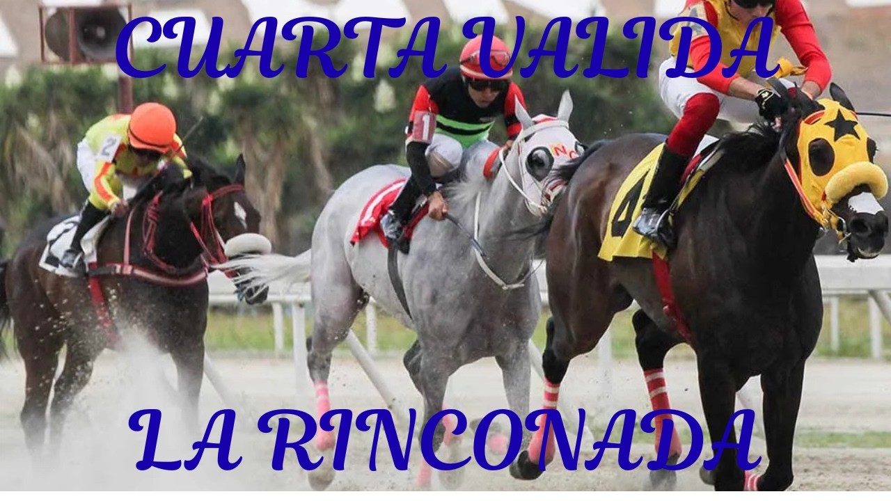 LA RINCONADA CUARTA VALIDA DOMINGO 8 DE MARZO 2026. GANADORA: ANASOLI. 692,66 BS.