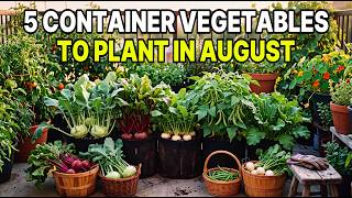 5 Container Vegetables You'll DEEPLY Regret Not Planting in August!