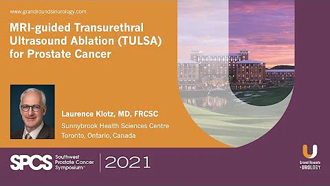 MRI-guided Transurethral Ultrasound Ablation (TULS...
