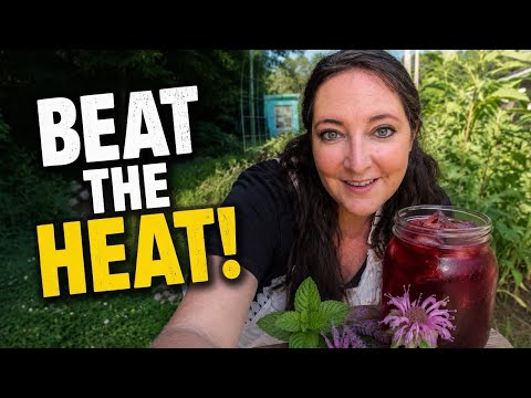 Cooling vs Warming Herbs: How to Choose the Right One