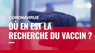 Coronavirus. Des « perspectives raisonnables » d’obtenir un vaccin « dans les prochains mois »