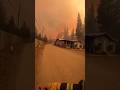 POV Firefighter Rescue: Woman and Loyal Labrador Saved from Wildfire Near Los Angeles  #rescue