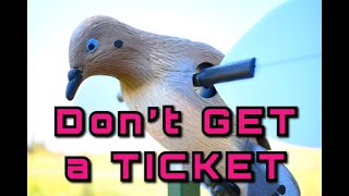 DOVE HUNTING information:  Don't get a TICKET