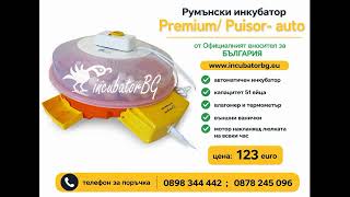 Люпи успешно с инкубатори Cleo 5 и Premium/ Puisor от www.incubatorbg.eu
