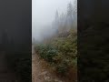 Осінь