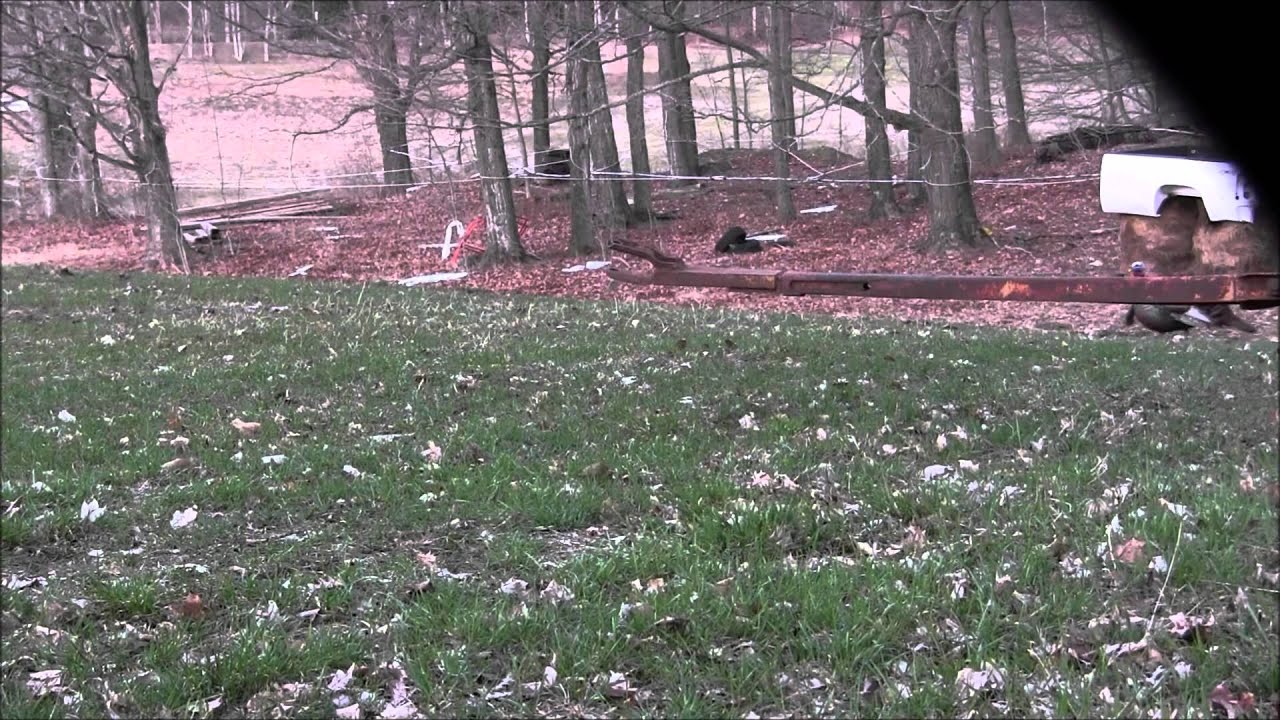 Vermont Gvernor's Youth Turkey Hunt 2015 YouTube