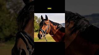 Download Lagu HEWAN YANG TERLIHAT SERAM SAAT MALAM HARI #fitrahsurya #facts MP3