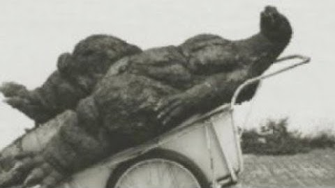 Godzilla had a stroke trying to read this....