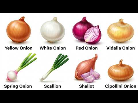 Every Onion Explained