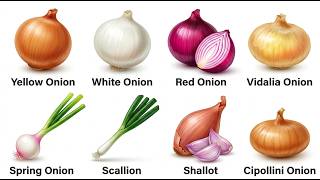 Every Onion Explained