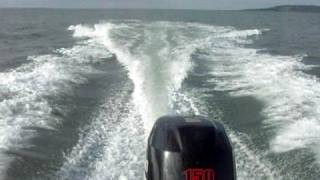 Suzuki 150 Hp ...Sea Fox 206 cc