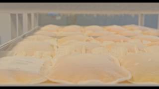 Dohmeyer | Cryogenic Pharmaceutical Freezer (Control Rate Freezer)