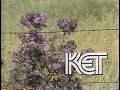 Ket station id kentucky educational television 1985