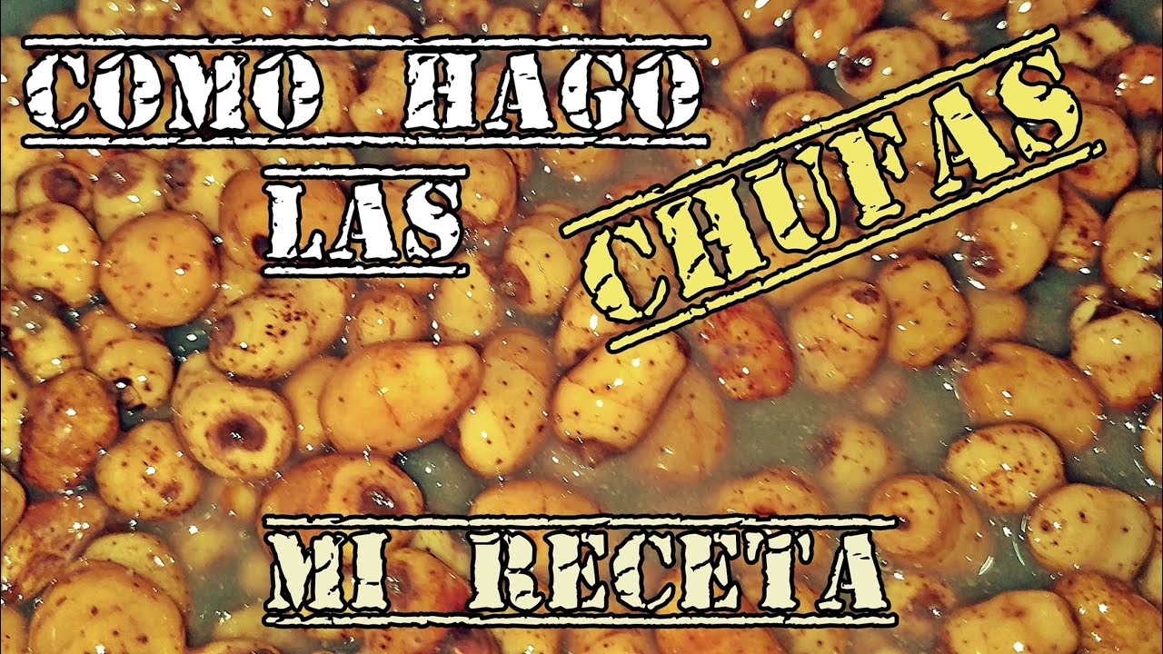 ¿Cómo hago las CHUFAS de CEBADO? - mi RECETA