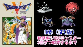 1/256の確率で仲間になるモンスター4種。SFC版ドラゴンクエスト5にて、3匹ずつ仲間にするのはどれだけ大変か(#5) 【配信】