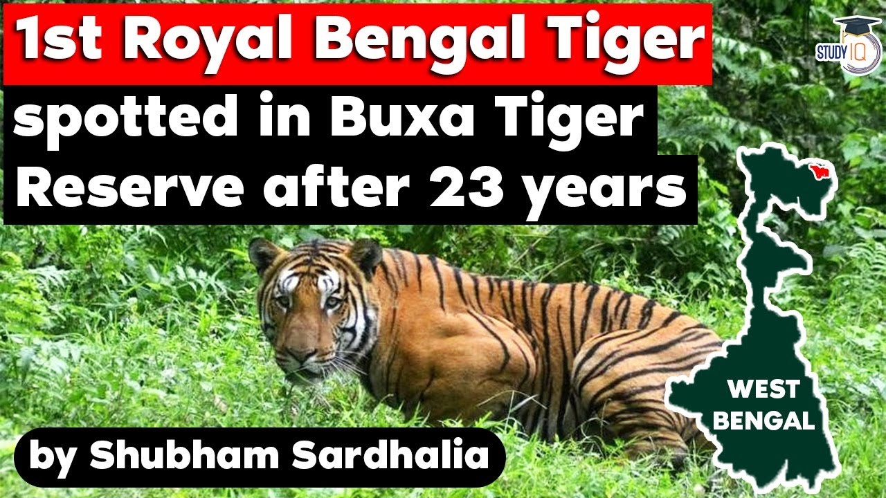 royal-bengal-tiger-spotted-in-buxa-tiger-reserve-for-the-first-time