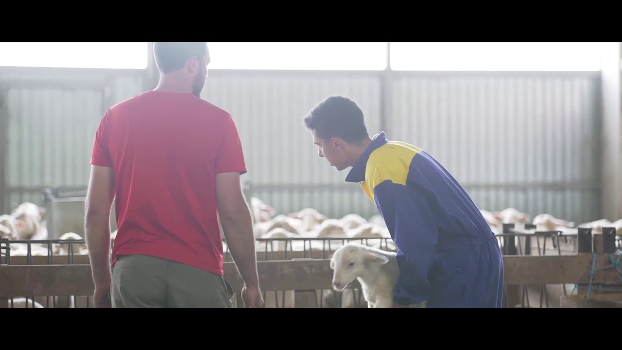 EFA EL SALTO - ZUERA