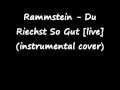 Du Riechst So Gut (instrumental cover)