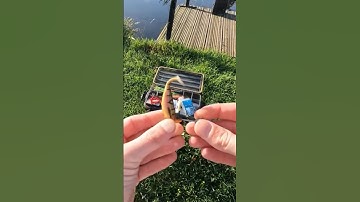 Mastering Jigging Skills: Perfectly Rigging Soft Plastic Shad on a Jig Head #fishing #new #shorts