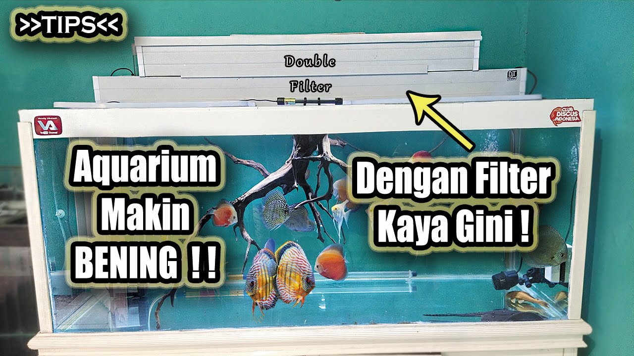 filter aquarium tingkat