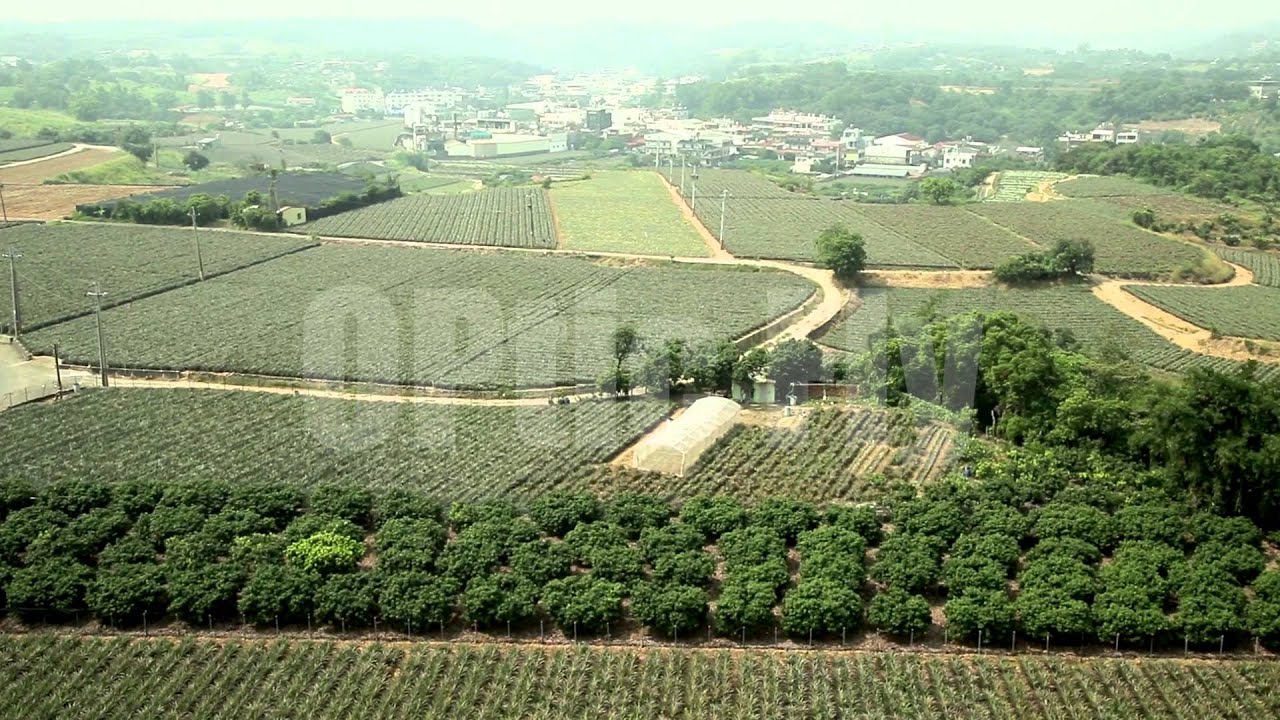 高雄空拍素材49 龍目社區鳳梨田 Youtube