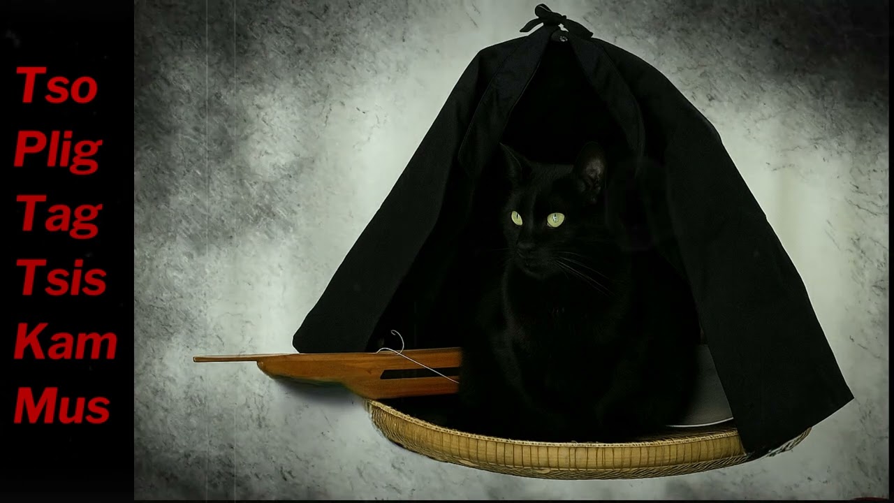 Tso Plig Tag Tsis Kam Mus 7-24-25