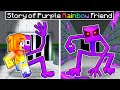 True story of purple rainbow friend in minecraft